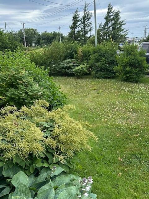 Lancaster Inn B&B Bonavista Luaran gambar